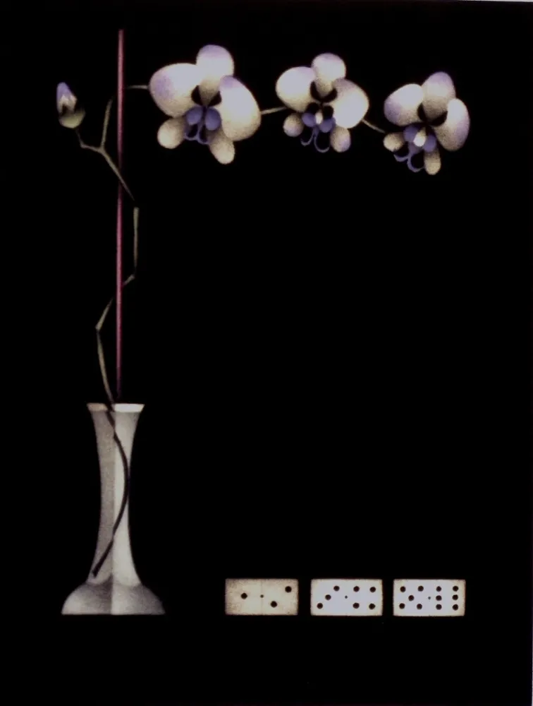 Mezzotint Avati - Une théorie de dominos