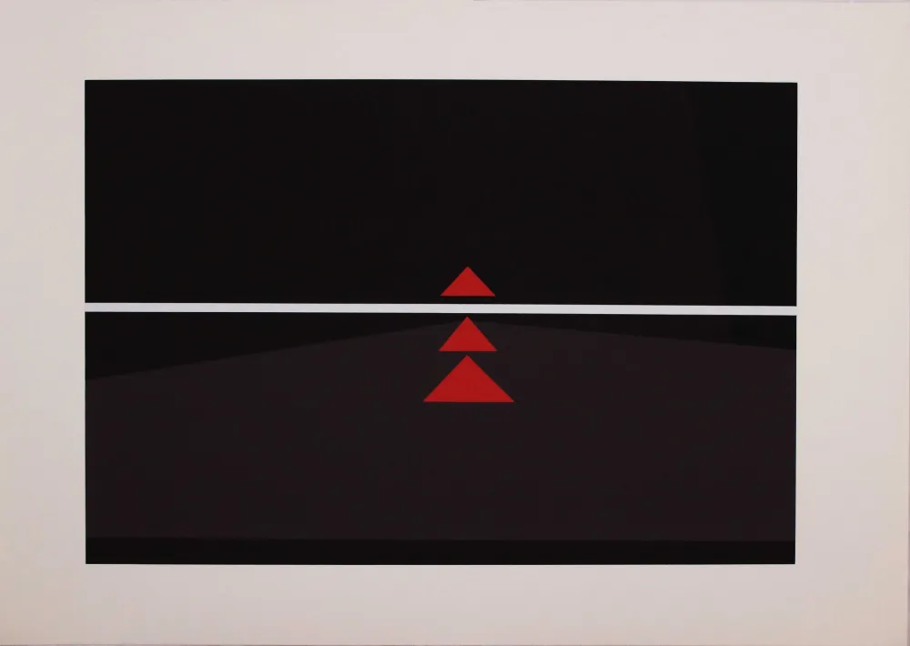 Screenprint Badiali - Sei fasi progressive di verticalità elastica