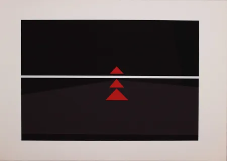 Screenprint Badiali - Sei fasi progressive di verticalità elastica