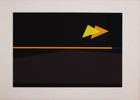 Screenprint Badiali - Sei fasi progressive di verticalità elastica