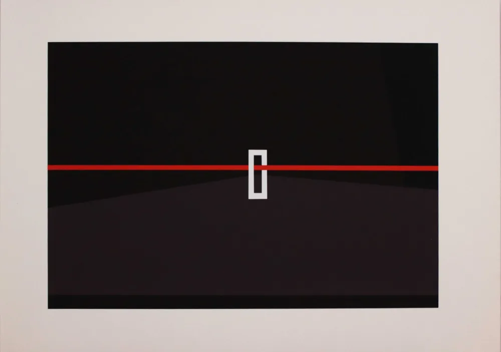 Screenprint Badiali - Sei fasi progressive di verticalità elastica