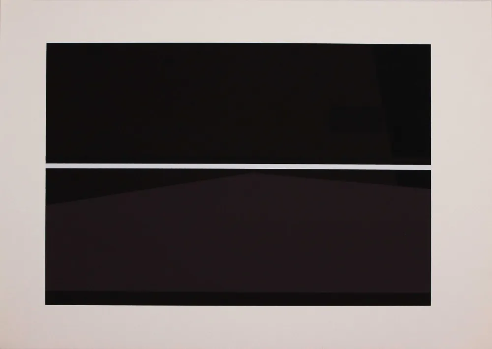 Screenprint Badiali - Sei fasi progressive di verticalità elastica