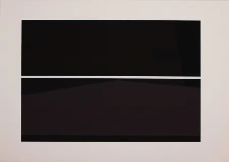 Screenprint Badiali - Sei fasi progressive di verticalità elastica