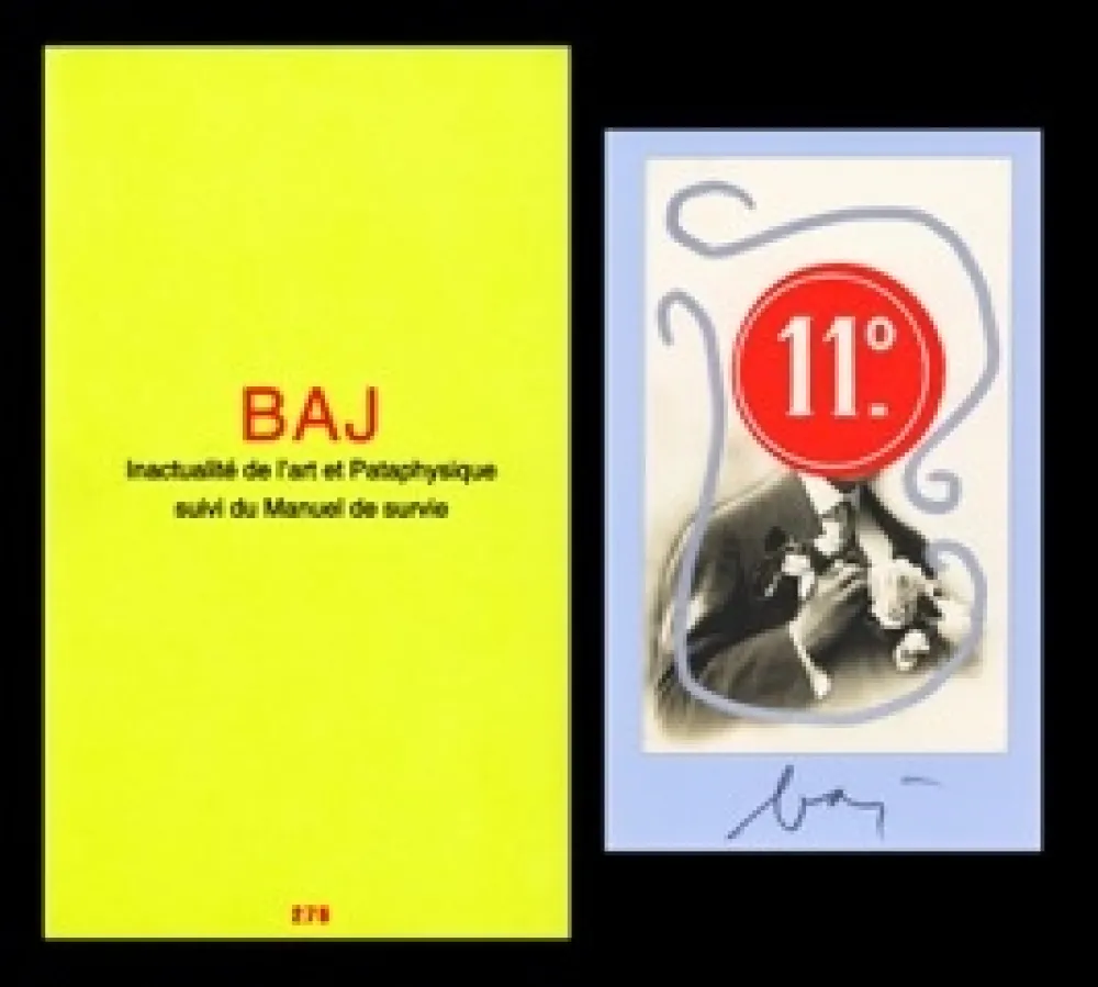 Illustrated Book Baj - L'art en écrit