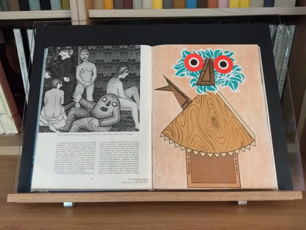 Illustrated Book Baj - No 44