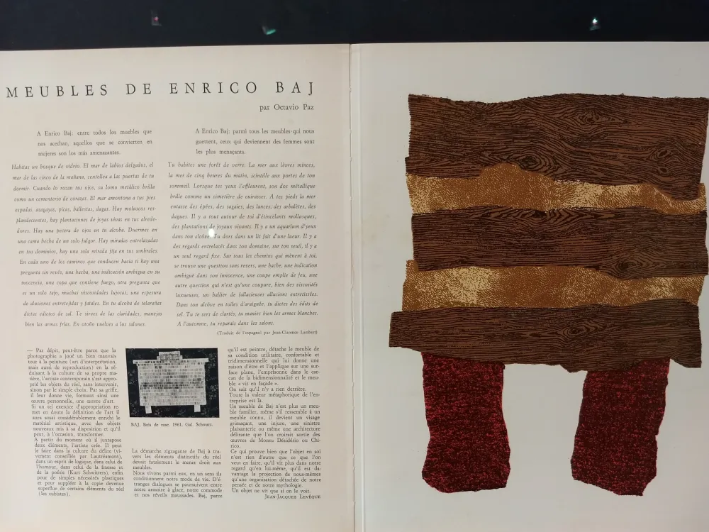 Illustrated Book Baj - Xxe No 20