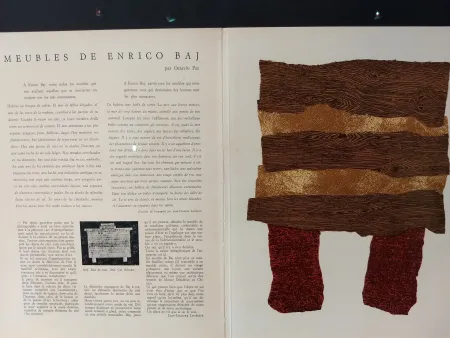 Illustrated Book Baj - Xxe No 20