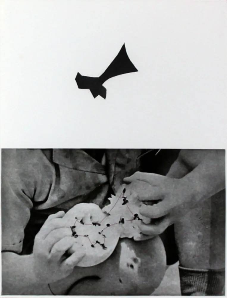 Etching And Aquatint Baldessari - Seeds