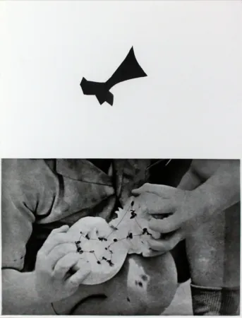 Etching And Aquatint Baldessari - Seeds