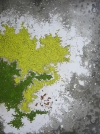 Etching Ballif - LeVenez