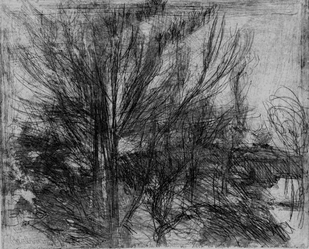 Engraving Barbisan - Alberi