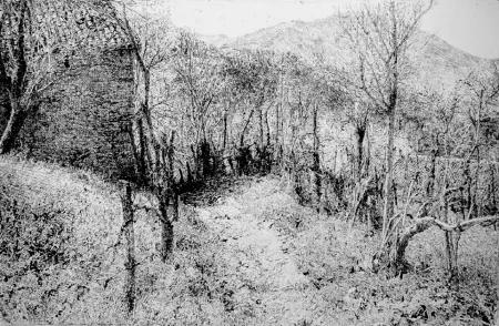 Engraving Barbisan - Paesaggio in collina