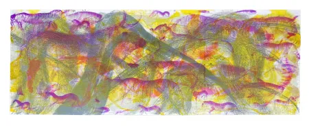 Lithograph Barcelo - Ibis