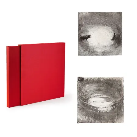 Illustrated Book Barcelo - La solitude sonore du torero