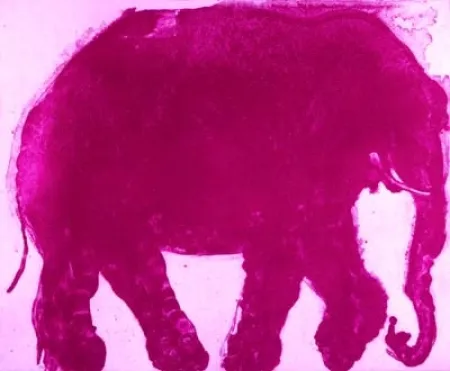 Etching And Aquatint Barcelo - Lanzarote 14