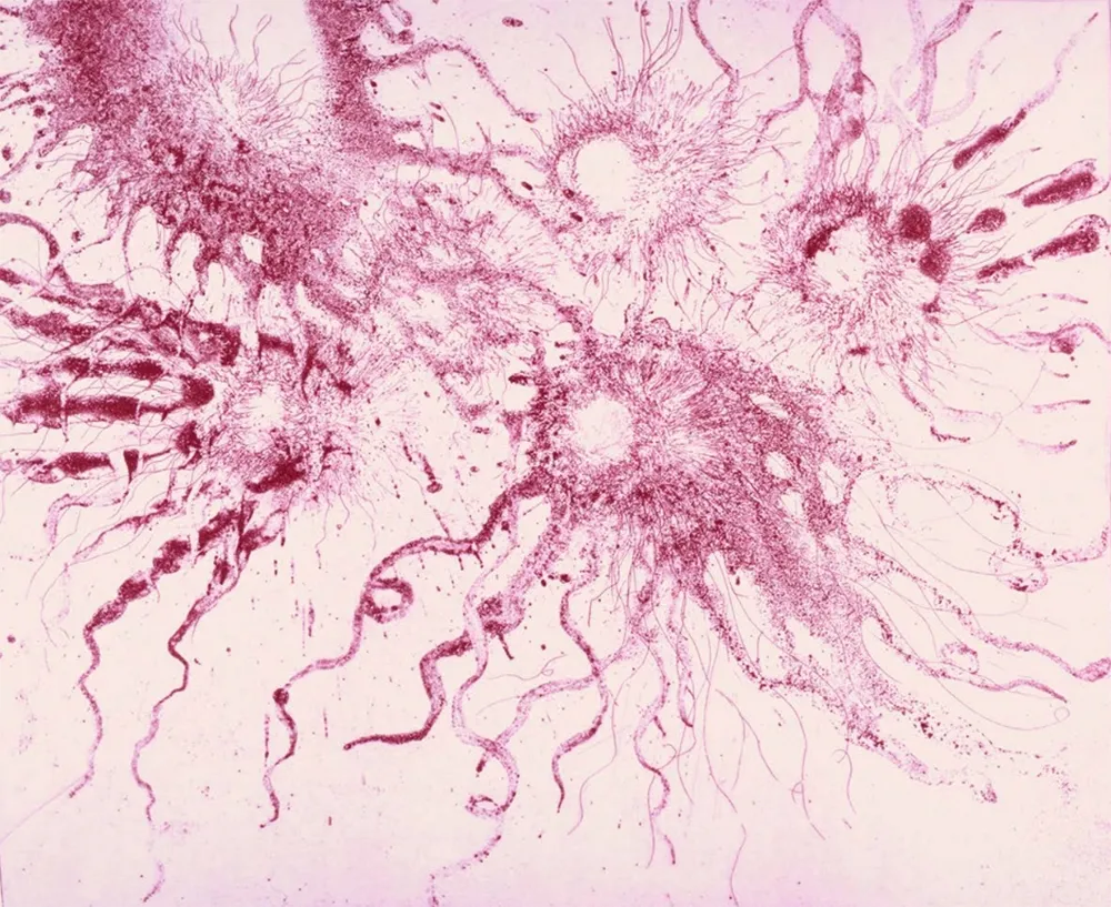 Etching And Aquatint Barcelo - Lanzarote 20