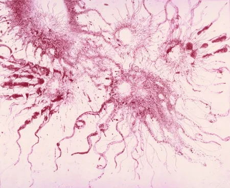 Etching And Aquatint Barcelo - Lanzarote 20