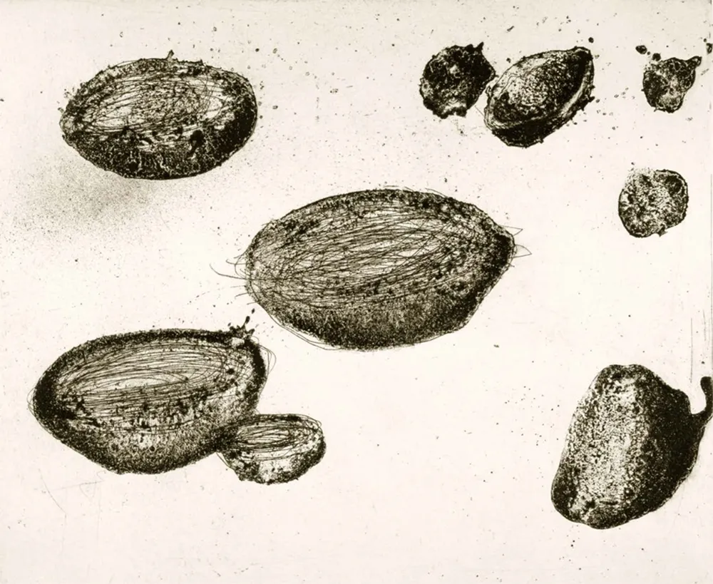 Etching And Aquatint Barcelo - Lanzarote 22