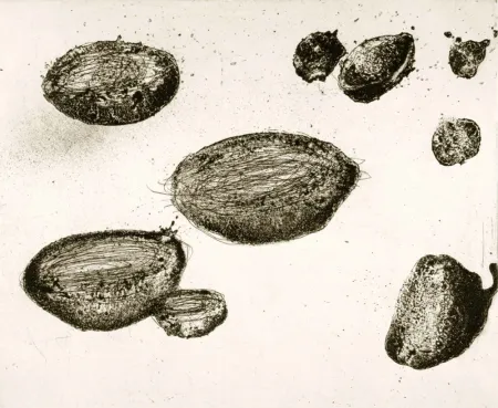 Etching And Aquatint Barcelo - Lanzarote 22