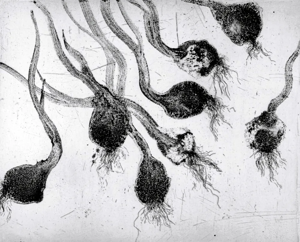 Etching And Aquatint Barcelo - Lanzarote 24