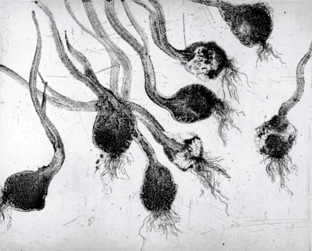 Etching And Aquatint Barcelo - Lanzarote 24