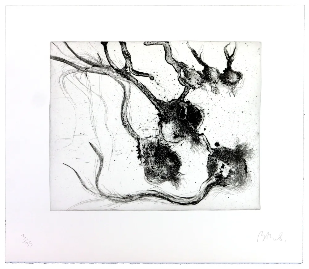 Etching Barcelo - Lanzarote 25