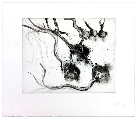 Etching Barcelo - Lanzarote 25