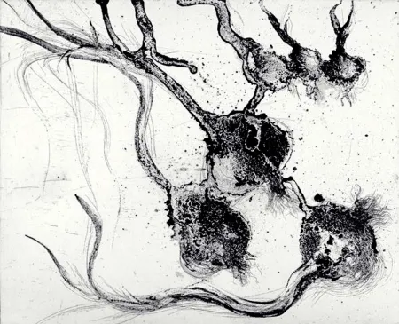 Etching Barcelo - Lanzarote 25