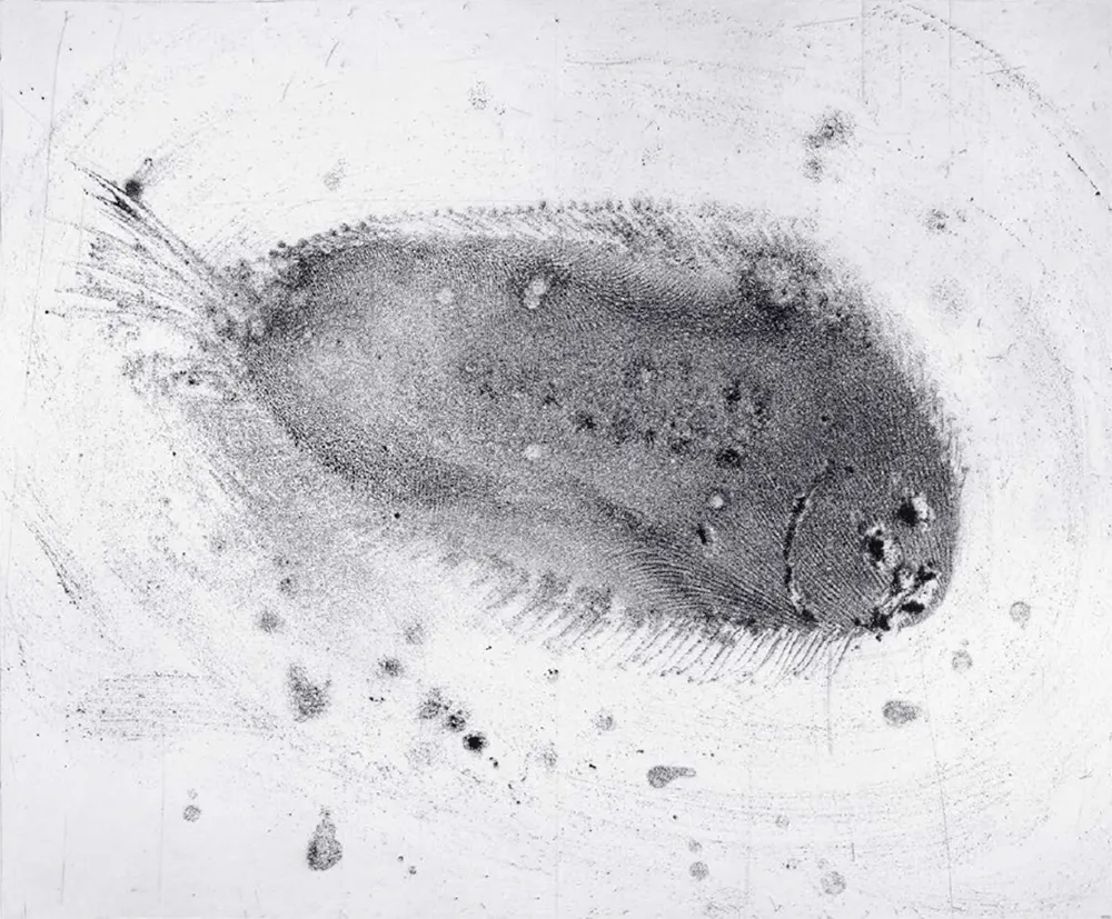 Etching And Aquatint Barcelo - Lanzarote 39