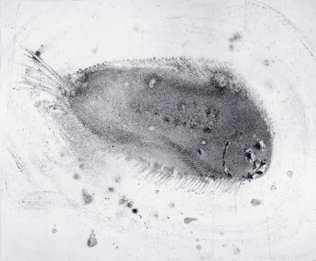 Etching And Aquatint Barcelo - Lanzarote 39