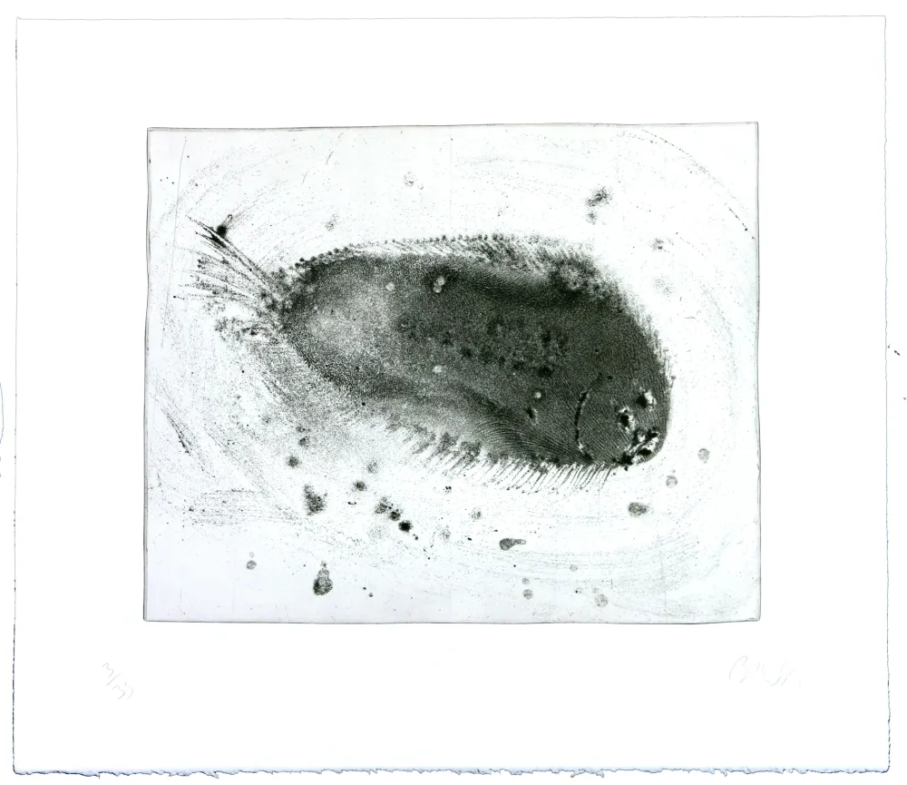 Etching Barcelo - Lanzarote 39