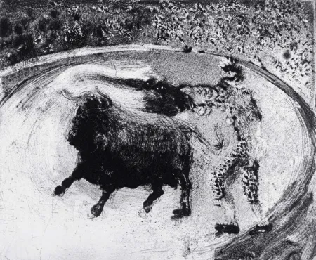 Aquatint Barcelo - Lanzarote 49