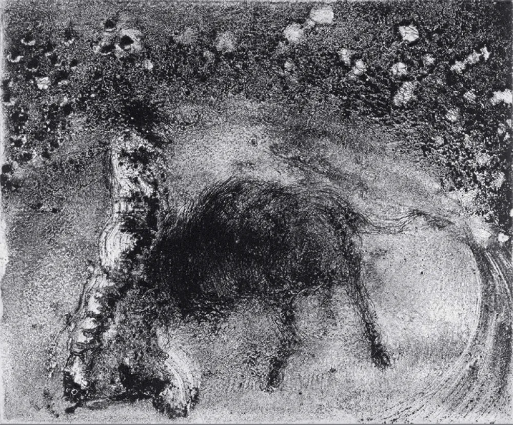 Aquatint Barcelo - Lanzarote 50