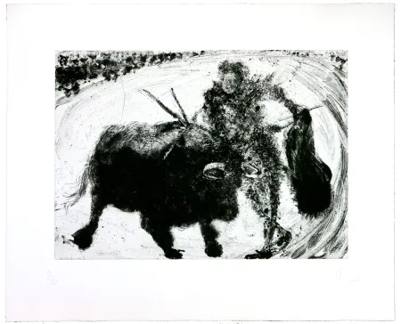 Etching Barcelo - Lanzarote 53