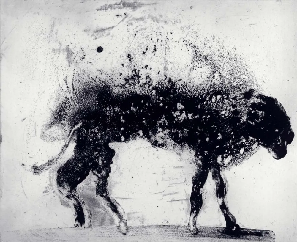 Etching And Aquatint Barcelo - Lanzarote 8