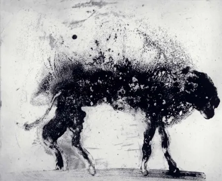 Etching And Aquatint Barcelo - Lanzarote 8