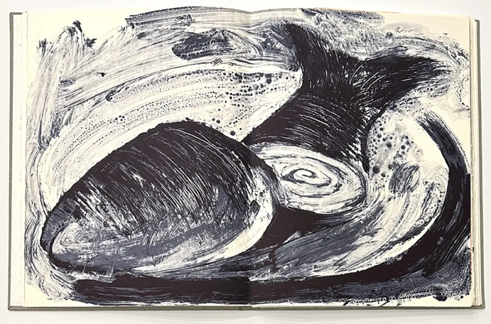 Illustrated Book Barcelo - Noise - Deluxe Edition