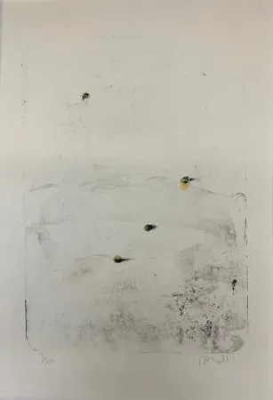 Lithograph Barcelo - Sekou 