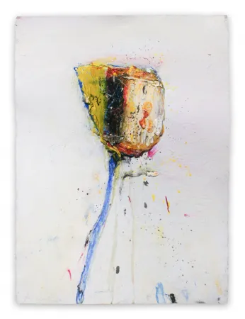 No Technical Baribeau - Stem #204