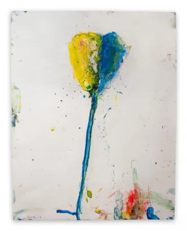 No Technical Baribeau - Stem #229