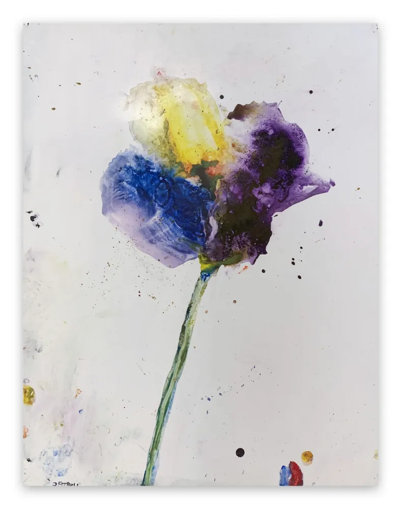 No Technical Baribeau - Stem #28