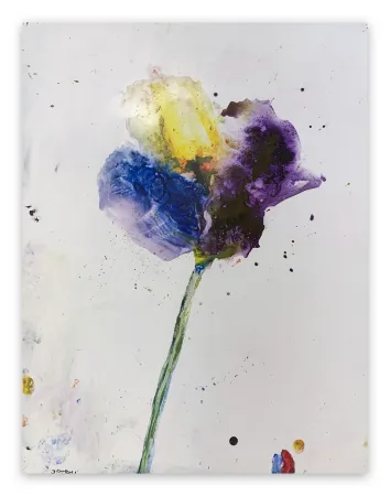 No Technical Baribeau - Stem #28