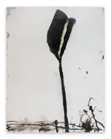 No Technical Baribeau - Stem in Black #1 