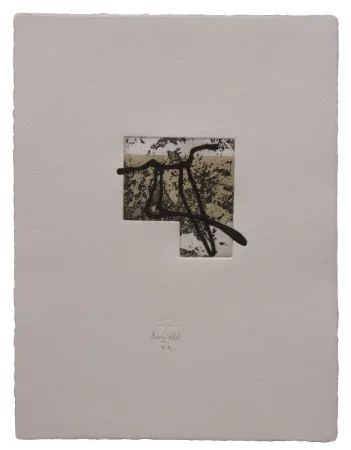 Etching And Aquatint Baroja-Collet - Animal