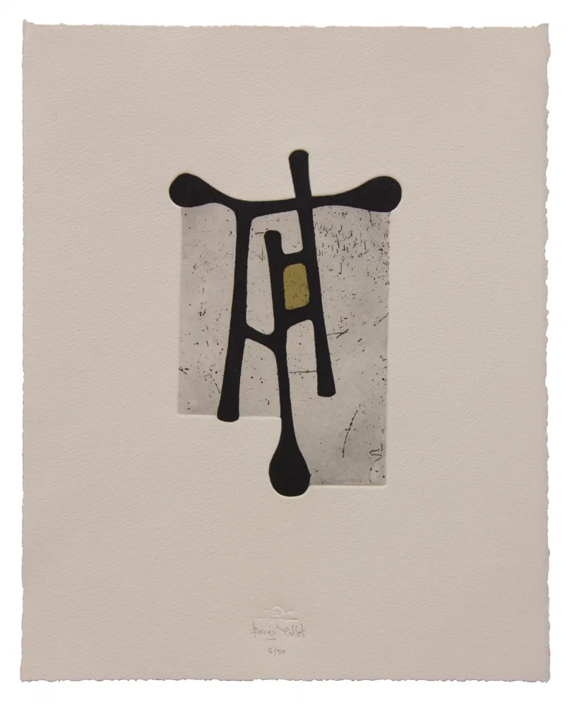 Etching And Aquatint Baroja-Collet - Contraseña