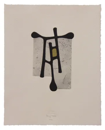 Etching And Aquatint Baroja-Collet - Contraseña