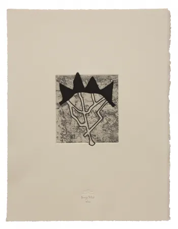 Etching And Aquatint Baroja-Collet - Estructurada