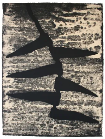 Etching And Aquatint Baroja-Collet - Garoa