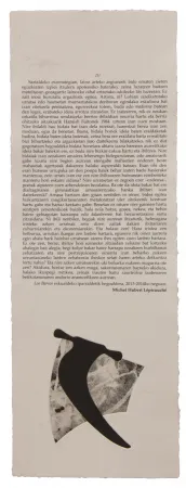 Illustrated Book Baroja-Collet - Neguko kronika hegoaldeko ordeketan