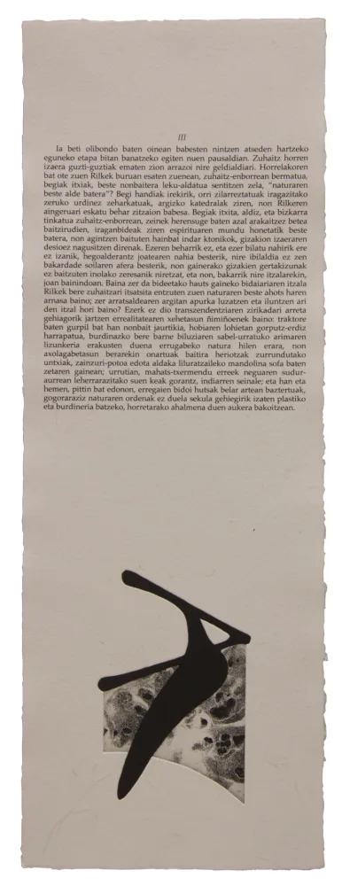 Illustrated Book Baroja-Collet - Neguko kronika hegoaldeko ordeketan